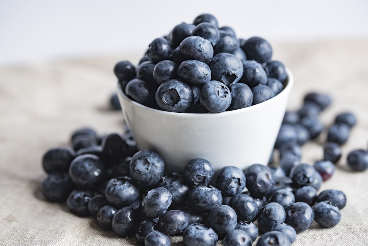 Arándanos y frutos rojos frescos, ricos en antioxidantes naturales