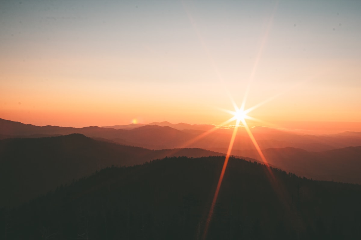 Rayos de sol filtrándose entre los árboles, fuente natural de vitamina D3