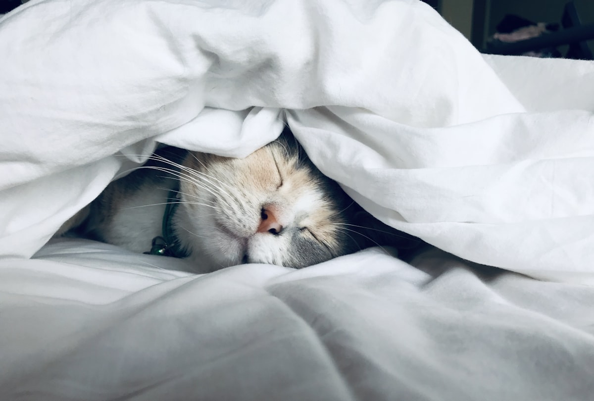 Persona durmiendo plácidamente en una habitación oscura, representando el descanso natural favorecido por la melatonina