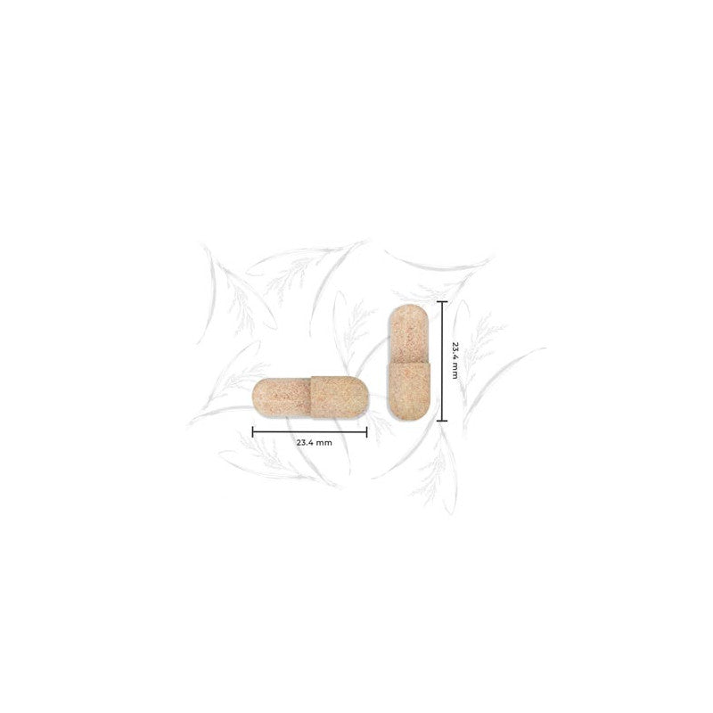 Levadura de Arroz rojo complex 30 caps Nutralie